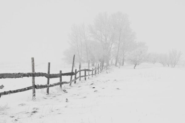 الطقس: تساقطات ثلجية في هذه المناطق