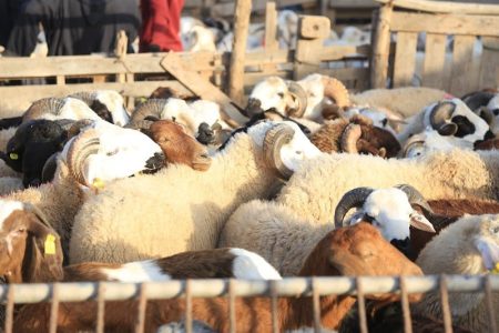 تحذير وتنبيه عاجل إلى السلطات المحلية بجماعة ويسلان