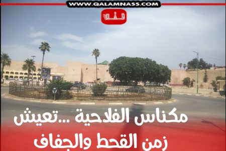 نأسف للإزعاج: مكناس مدينة فلاحية تفتقد للخضرة والجمال