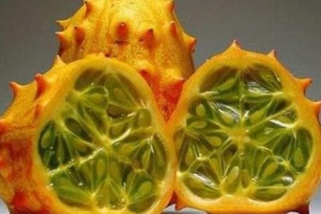 فاكهة “الكيوانو”.. فوائد مثالية وراء مظهرها العجيب