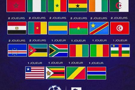 ثماني دول إفريقية مطالبين  بترخيص سفر إلكتروني AEVM