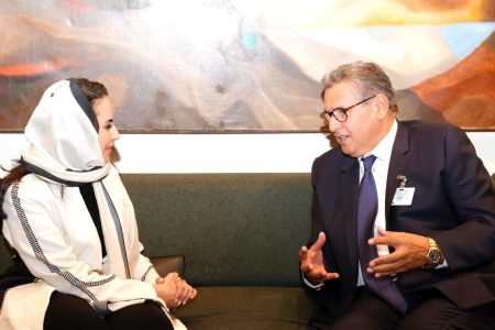 مباحتاث بين اخنوش و الأمينة العامة لمنظمة التعاون الرقمي بنيويورك..