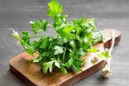 اهم الفوائد الصحية للبقدونس ..