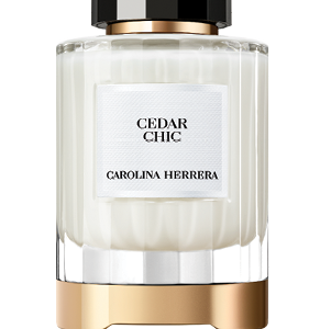 أحدث إصدارات العطور الفاخرة 2025.. روائح جذابة استثنائية