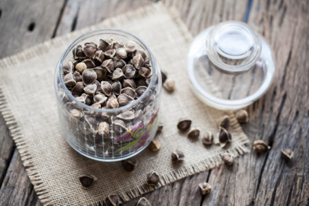 اهم الفوائد الصحية “لبذور المورينجا”..