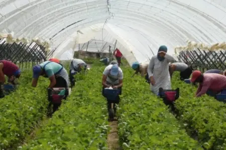 وزارة الهجرة باسبانيا تصادق على مرسوم الهجرة الموسمية والدائرية مع المغرب ودول أخرى