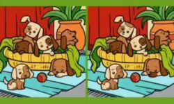 الوهم البصري:إختبار لمدى قدرتك على رؤية التفاصيل