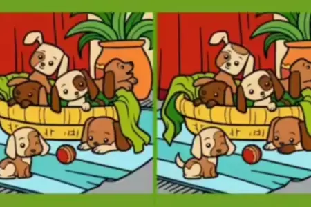 الوهم البصري:إختبار لمدى قدرتك على رؤية التفاصيل