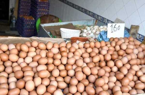 ارتفاع الطلب على البيض..  انعكس مباشرة على الأسعار المتداولة