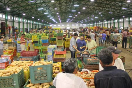 مجرد سؤال: أين وصلت دراسة التأثيرات البيئية والاجتماعية لمشروع سوق الجملة للخضر بمكناس؟