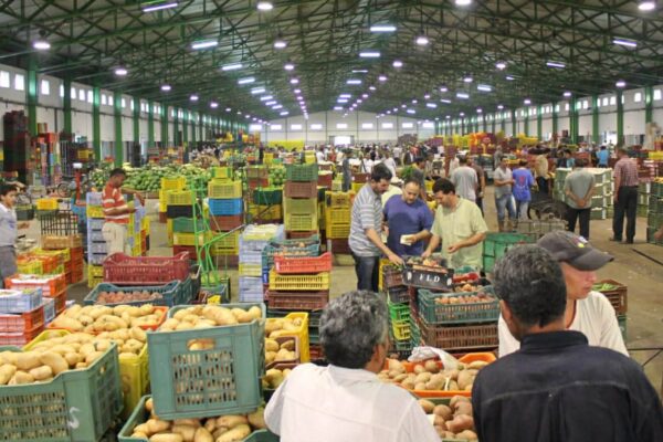 مجرد سؤال: أين وصلت دراسة التأثيرات البيئية والاجتماعية لمشروع سوق الجملة للخضر بمكناس؟
