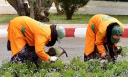 صرف التعويضات بشكل نقدي للعمال العرضيين ،يفتح  الباب أمام شبهات فساد مالي