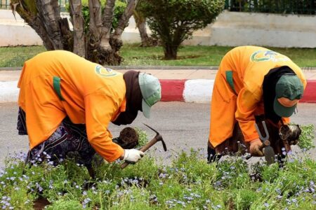 صرف التعويضات بشكل نقدي للعمال العرضيين ،يفتح  الباب أمام شبهات فساد مالي