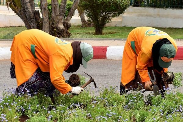 صرف التعويضات بشكل نقدي للعمال العرضيين ،يفتح الباب أمام شبهات فساد مالي